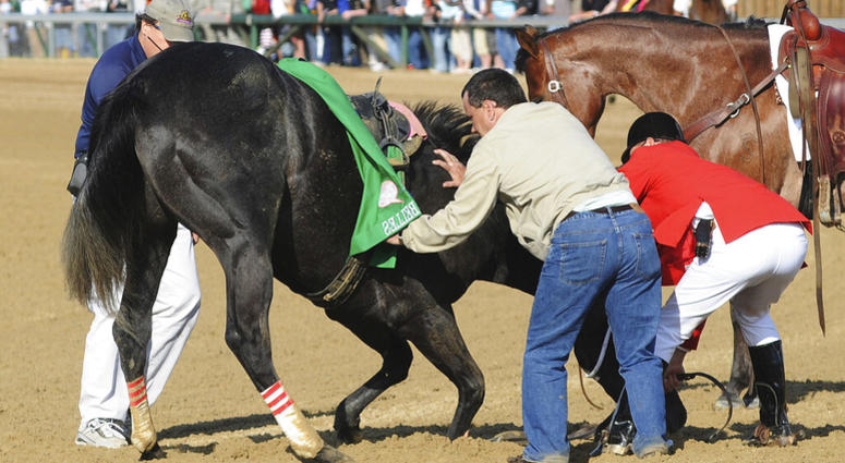 In this May 3, 2008, file photo, track personnel try to hold down Eight Belles after the 134th Kentucky Derby at Churchill Downs in Louisville, Ky. AP DO NOT USE