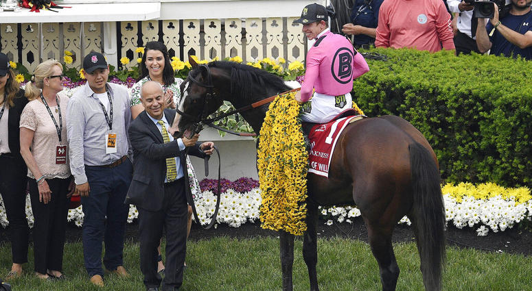 Jockey Tyler Gaffalione sits aboard War of Will as trainer Mark Casse holds the reins after winning the Preakness Stakes horse race at Pimlico Race Course, Saturday, May 18, 2019, in Baltimore. Jockey Tyler Gaffalione sits aboard War of Will as trainer Mark Casse holds the reins after winning the Preakness Stakes horse race at Pimlico Race Course, Saturday, May 18, 2019, in Baltimore.
