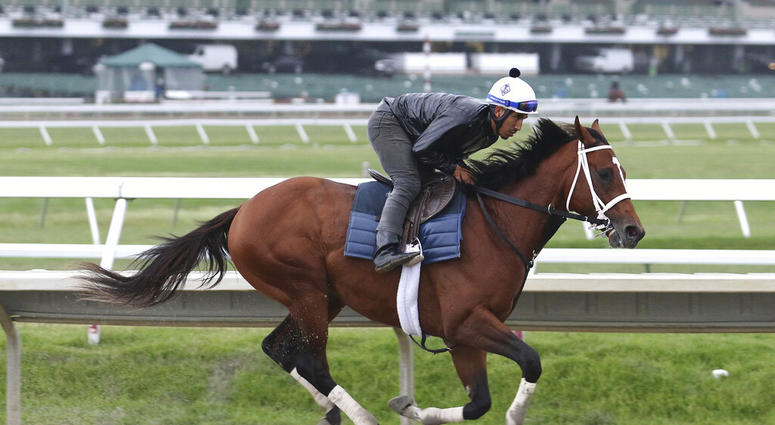 Maximum Security, ridden by exercise rider Edelberto Rivas, gallops during a workout at Monmouth Park, Thursday morning, June 13, 2019, in Oceanport, N.J. Maximum Security will make his next start in Sunday's $150,000 Pegasus Stakes horse race at the trac Maximum Security, ridden by exercise rider Edelberto Rivas, gallops during a workout at Monmouth Park, Thursday morning, June 13, 2019, in Oceanport, N.J. Maximum Security will make his next start in Sunday's $150,000 Pegasus Stakes horse race at the trac