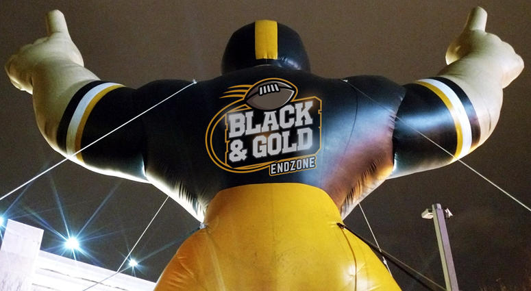 Black & Gold Endzone Black & Gold Endzone