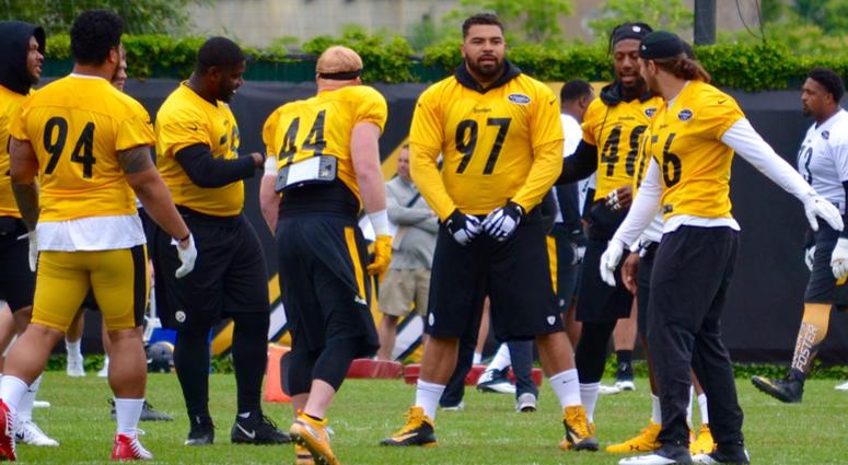 Steelers DE Cam Heyward