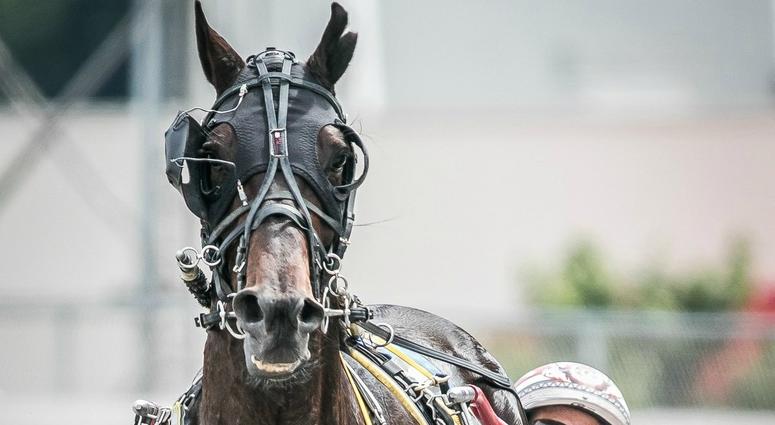 Foiled Again racing