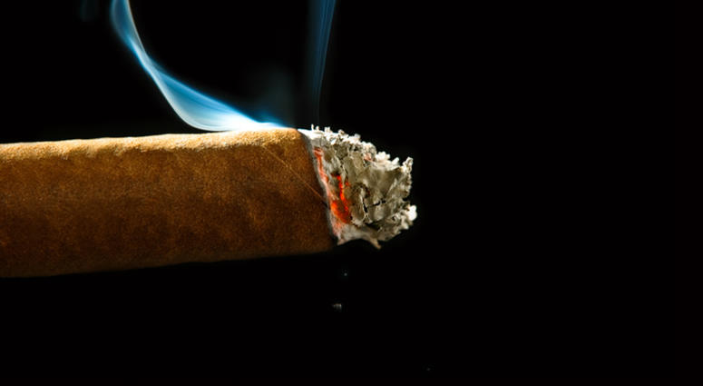 Cigar Cigar