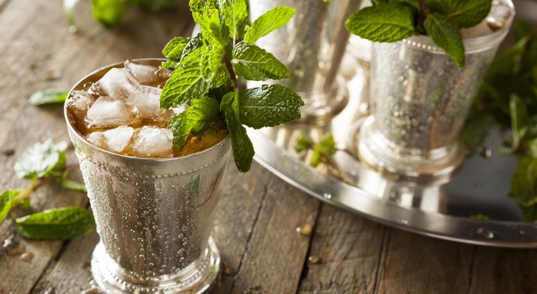 a Mint Julep cocktail