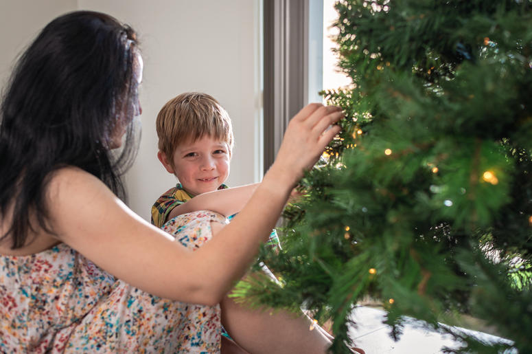 Real Christmas Tree Real Christmas Tree