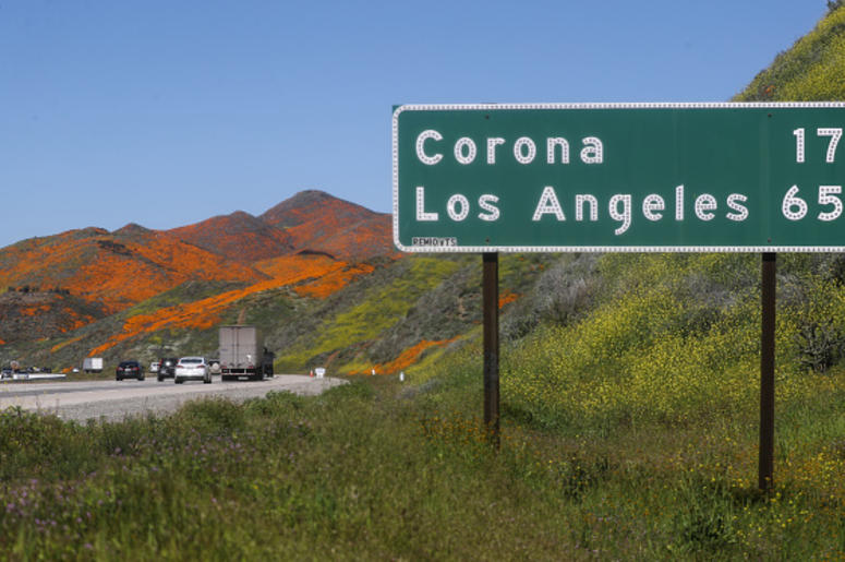 California Super Bloom California Super Bloom