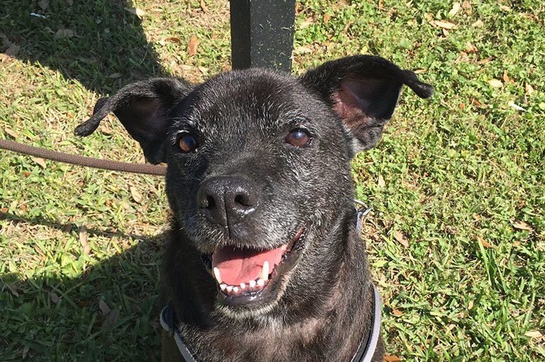 Waylon Pic Waylon Pic