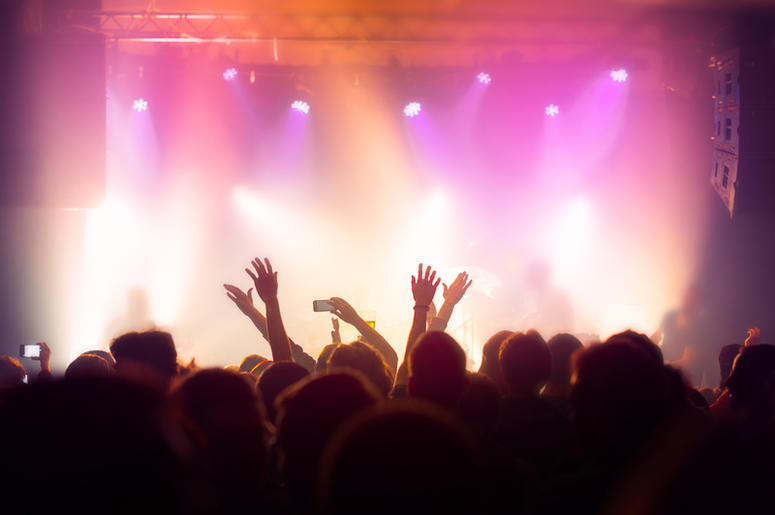 Concert crowd