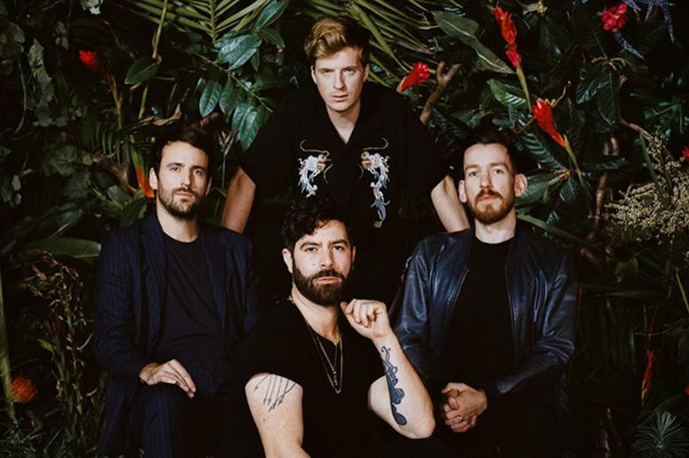 Foals Foals