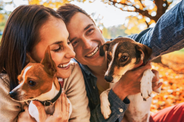 Dating App For Dog Lovers Dating App For Dog Lovers