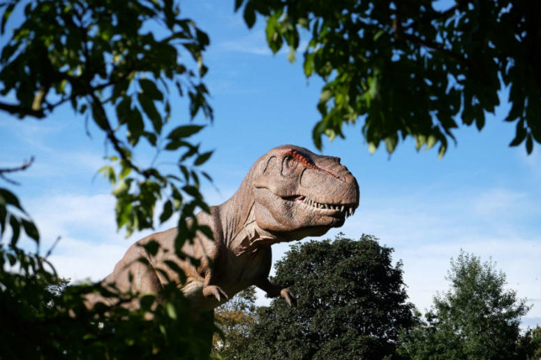 T-Rex