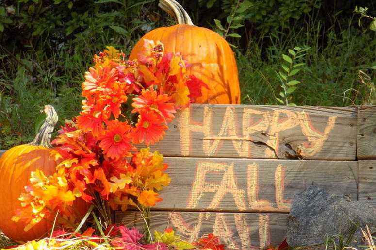 fall memes fall memes