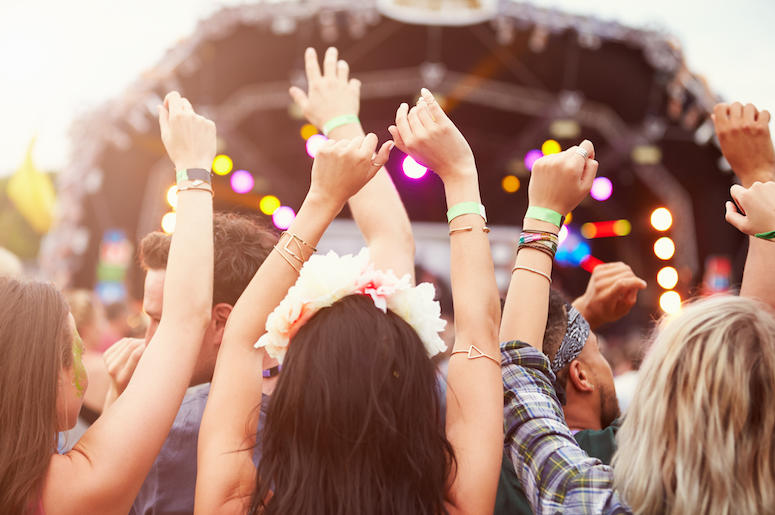 Music Festival, Crowd, Audience, People, Music, Band, Stage, Hands in the Air Music Festival, Crowd, Audience, People, Music, Band, Stage, Hands in the Air