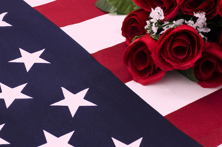 Roses, American Flag, Fallen Soldier Roses, American Flag, Fallen Soldier