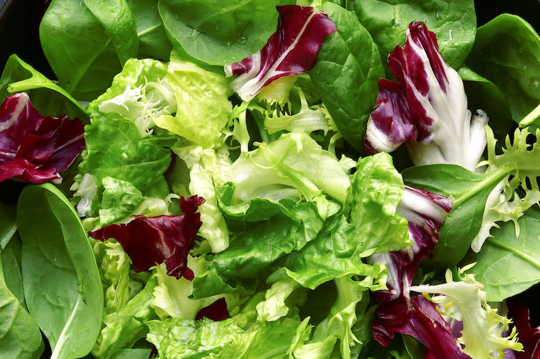 Vegetables, Lettuce, Salad, Close Up Vegetables, Lettuce, Salad, Close Up