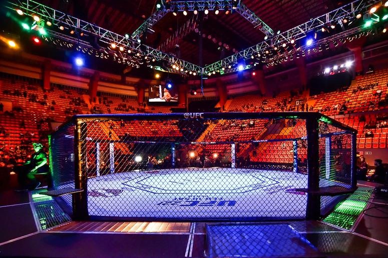ufc ring ufc