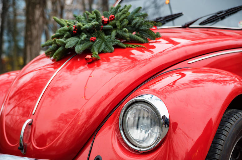 Car, Christmas, Wreath, Hood Car, Christmas, Wreath, Hood