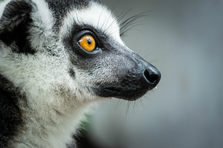 Photo Credit: Dreamstime Photo Credit: Dreamstime
