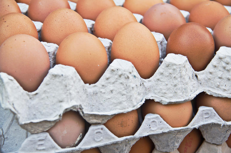 eggs eggs