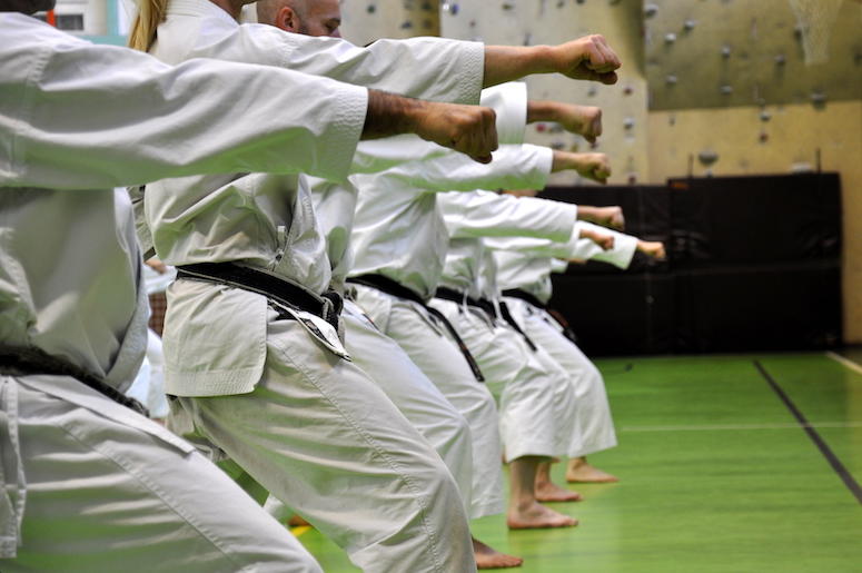Martial Arts, Karate, Students, School, Punch, Oi Zuki Martial Arts, Karate, Students, School, Punch, Oi Zuki