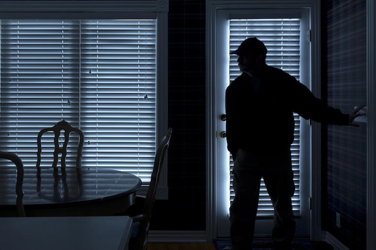 Burglar, Home, Night Burglar, Home, Night