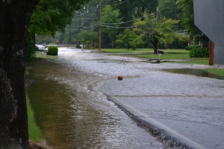 Flooded Street, Neighborhood Flooded Street, Neighborhood