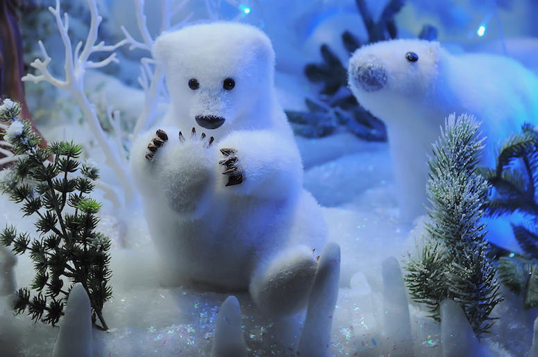 Christmas, Polar Bears, Toys, Display, Snow, Lights Christmas, Polar Bears, Toys, Display, Snow, Lights