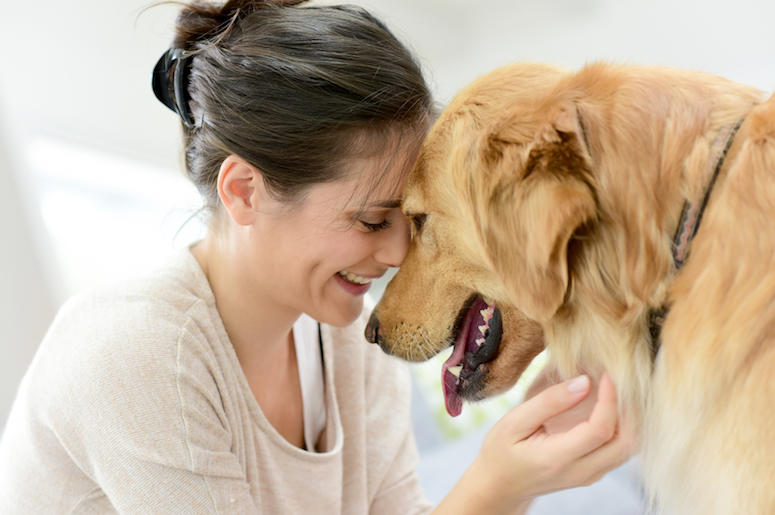 Woman, Dog, Cuddling Woman, Dog, Cuddling