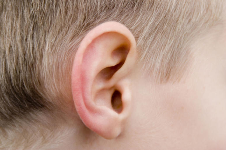 Human Ear