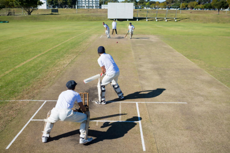 People Playing Cricket People Playing Cricket