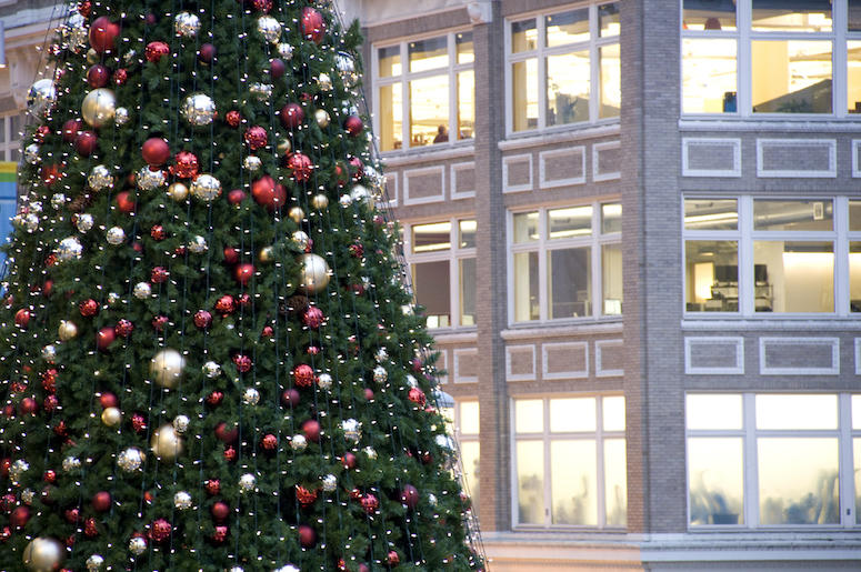 Christmas Tree, Downtown, City, Building Christmas Tree, Downtown, City, Building
