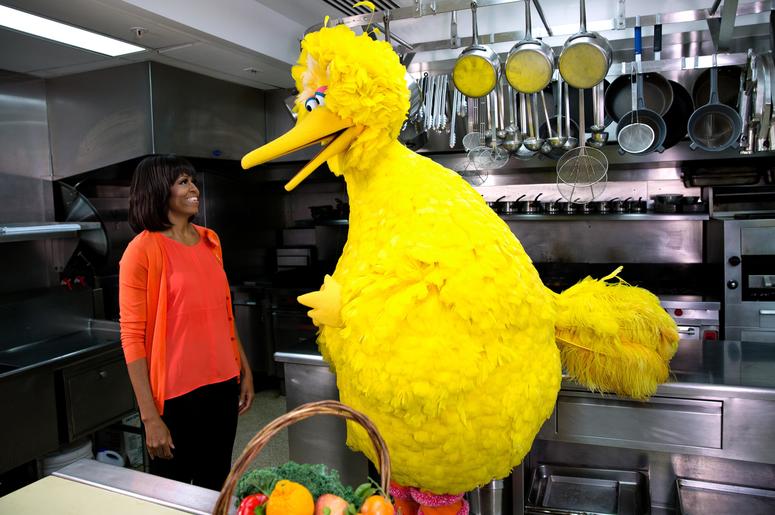 big bird big bird