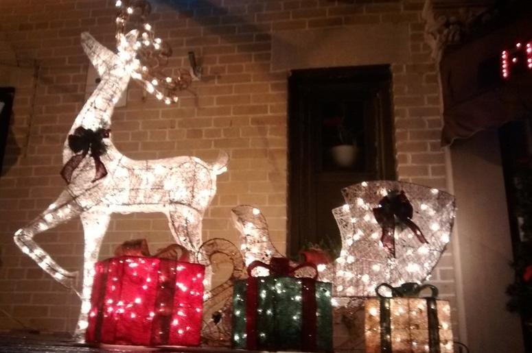 xmas deer xmas deer