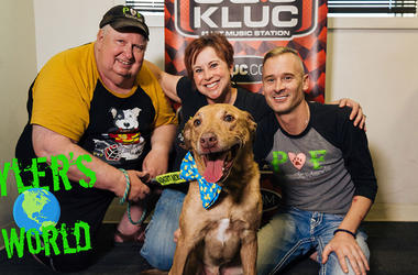 Meet Kiki KiKi our Pawtastic Friend of the week