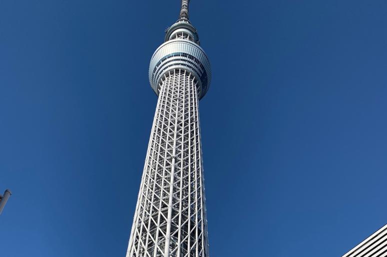 Skytree