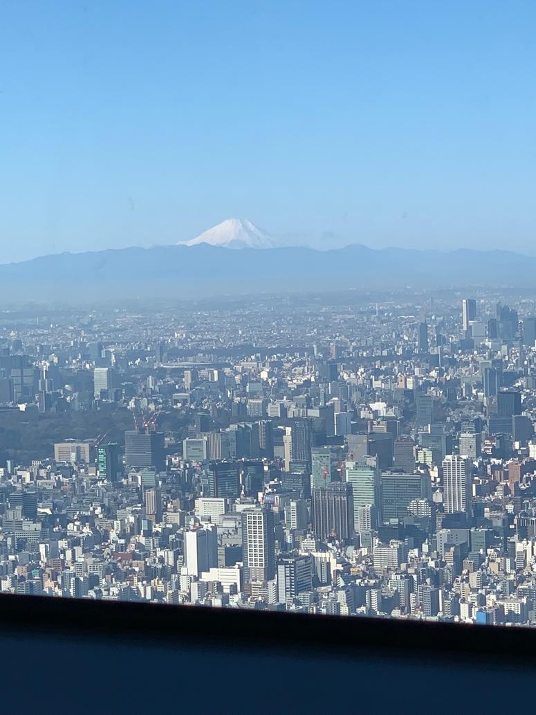 Tokyo & Mt. Fiji from Skytree