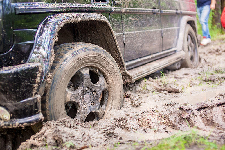 Truck In Mud Truck In Mud