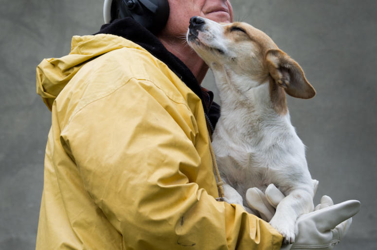 Man, Safety Suit, Firefighter, Holding Dog Man, Safety Suit, Firefighter, Holding Dog