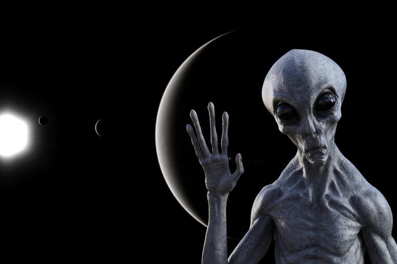 Alien alien