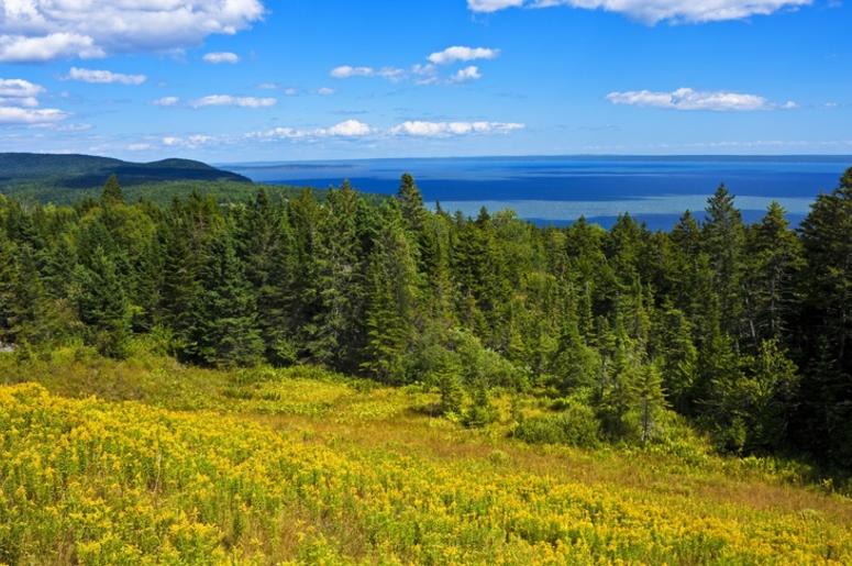 Bay of Fundy bay_of_fundy