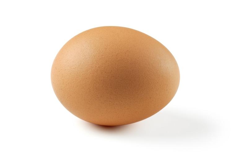 Brown Egg brown_egg