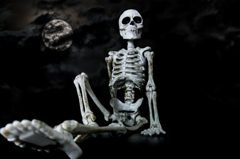 Skeleton skeleton