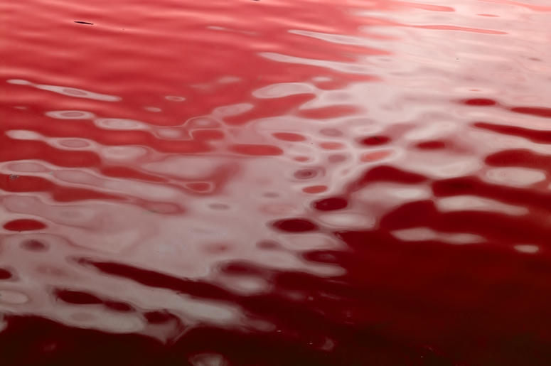 Blood Lake blood_lake