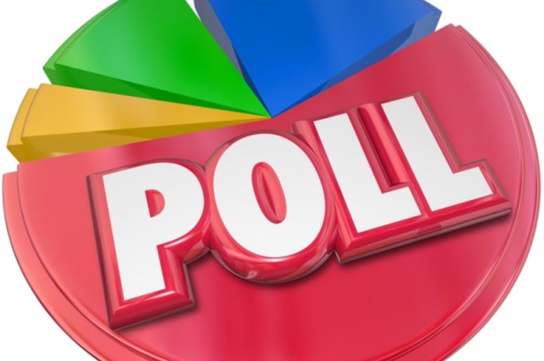 Poll Survey Results Voting Election Opinion Poll Survey Results Voting Election Opinion
