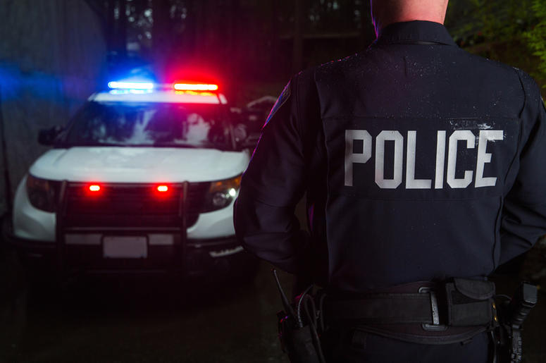 Police police