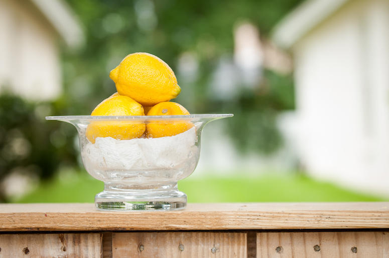 Lemonade Stand Lemonade Stand