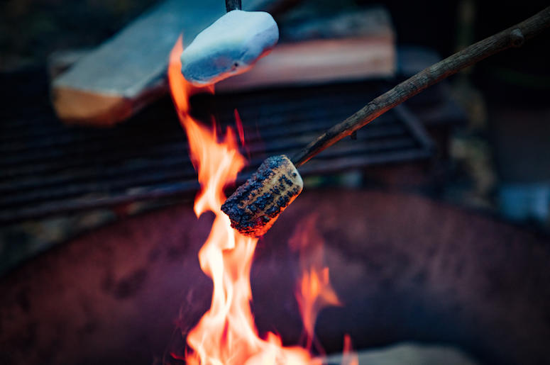Roasting Marshmallow Roasting Marshmallow