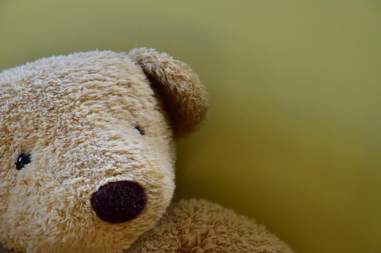 Teddy Bear, Face, Close Up, Wall Teddy Bear, Face, Close Up, Wall