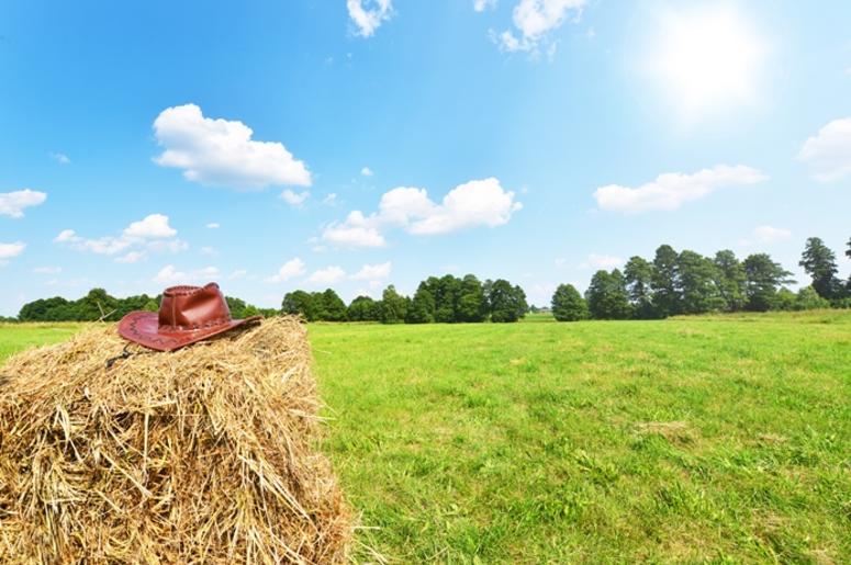 Rural landscape Rural landscape