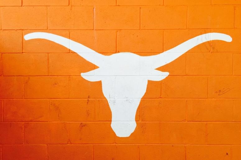 University of Texas Longhorn in Burnt Orange. University of Texas Longhorn in Burnt Orange.